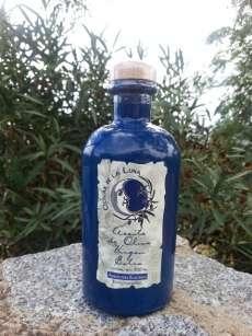 Olivar de la Luna