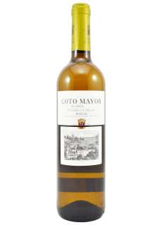 Vino blanco Coto Mayor Sauvignon Blanc