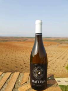 Vino blanco Hacienda Molleda Blanco Joven