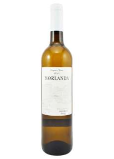 Vino blanco Morlanda Blanc