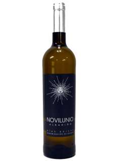 Vino blanco Novilunio Albariño