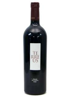 Vino Terreus