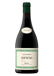Vino tinto Cuentaviñas Septeno