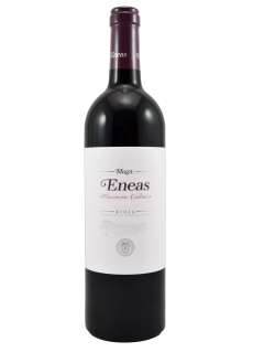 Vino tinto Eneas Maceración Carbónica