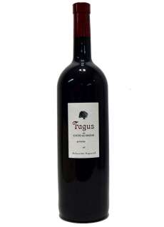 Vino tinto Fagus Magnum