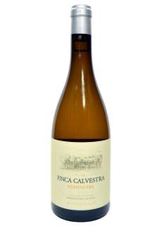 Wino białe Finca Calvestra Merseguera
