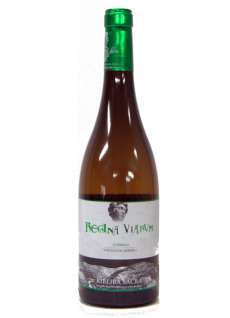 Wino białe Regina Viarum Godello