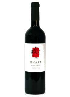 Wino czerwone Enate Merlot - Merlot